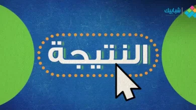 رابط موقع شبابيك نتيجة الثانوية العامة 2024 بالإسم ورقم الجلوس