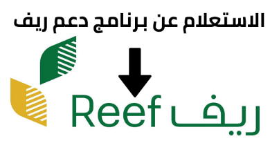 طريقة الاستعلام عن دعم ريف باستخدام رقم الهوية 1445 وخطوات التسجيل في المنصة